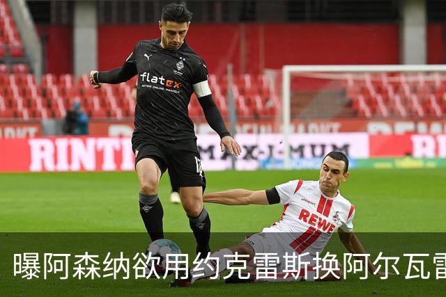 曝阿森纳欲用约克雷斯换阿尔瓦雷斯，名宿：队友根本不信任他